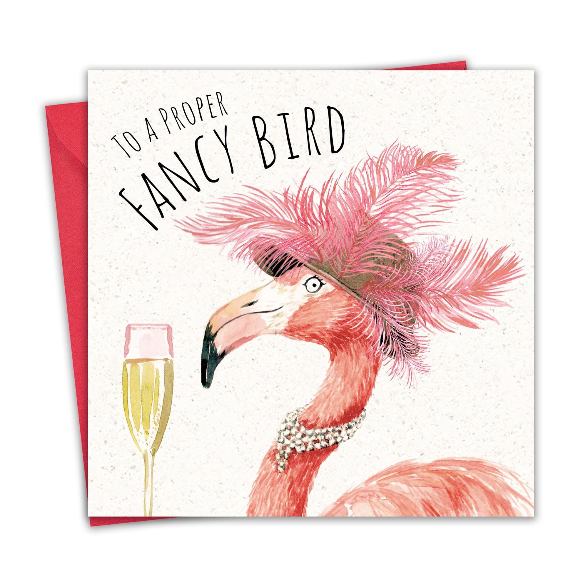 Twizler Funny Birthday Card for Women - Fancy Bird - Humor Happy ...