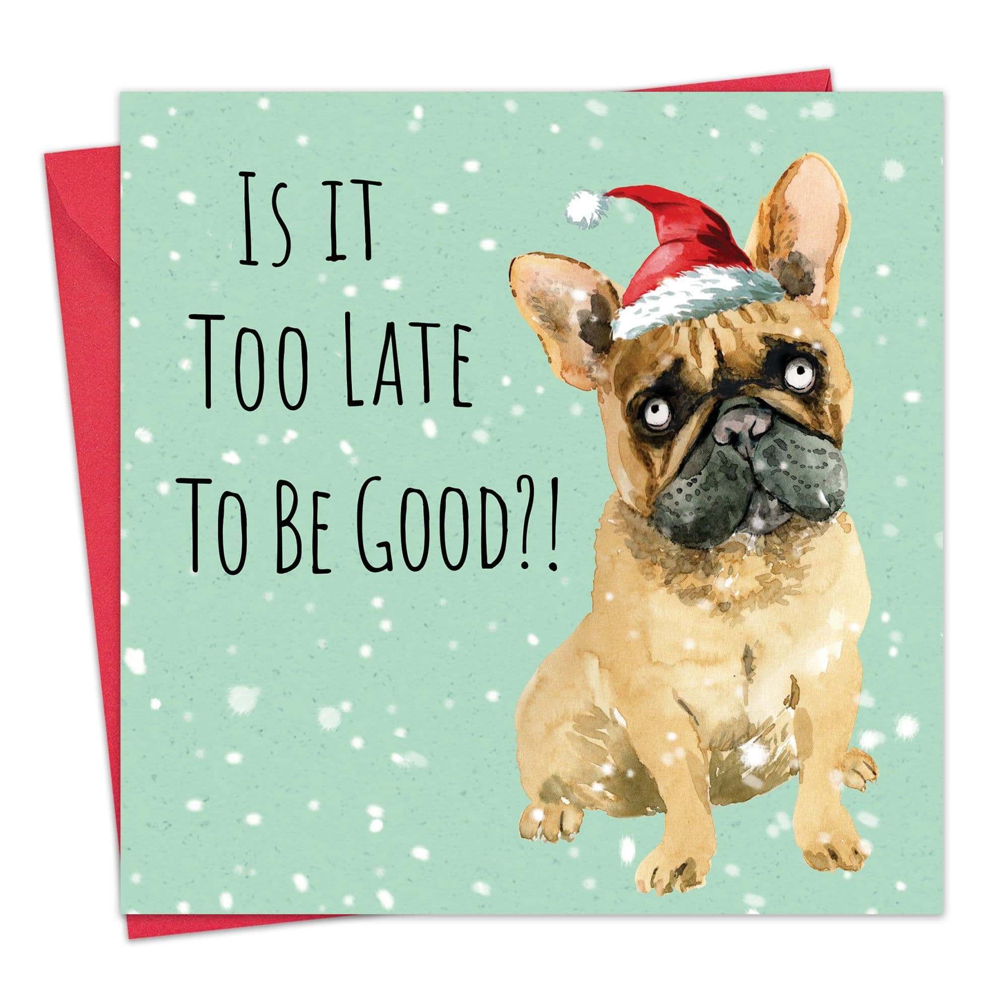 Twizler Funny Christmas Card Dog Naughty List - Humour Merry Xmas Card ...