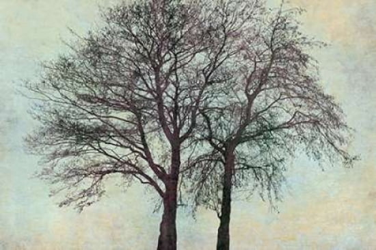Two Alders Together Canvas Art - Cora Niele (12 x 18)