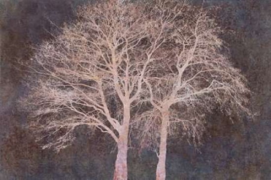 Two Alders Together III Canvas Art - Cora Niele (24 x 36)