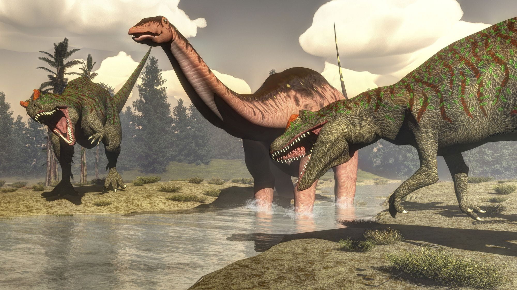 Two Allosaurus dinosaurs attacking a large Apatosaurus Canvas Art - Elena DuvernayStocktrek Images (19 x 11)