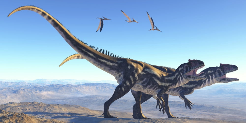 Two Allosaurus dinosaurs look for prey on a high mountain Canvas Art - Corey FordStocktrek Images (40 x 20)