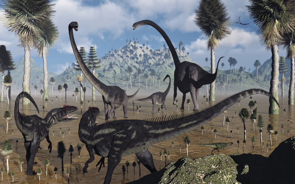 Two Allosaurus predators plan their attack on a young Omeisaurus Canvas Art - Mark StevensonStocktrek Images (36 x 23)
