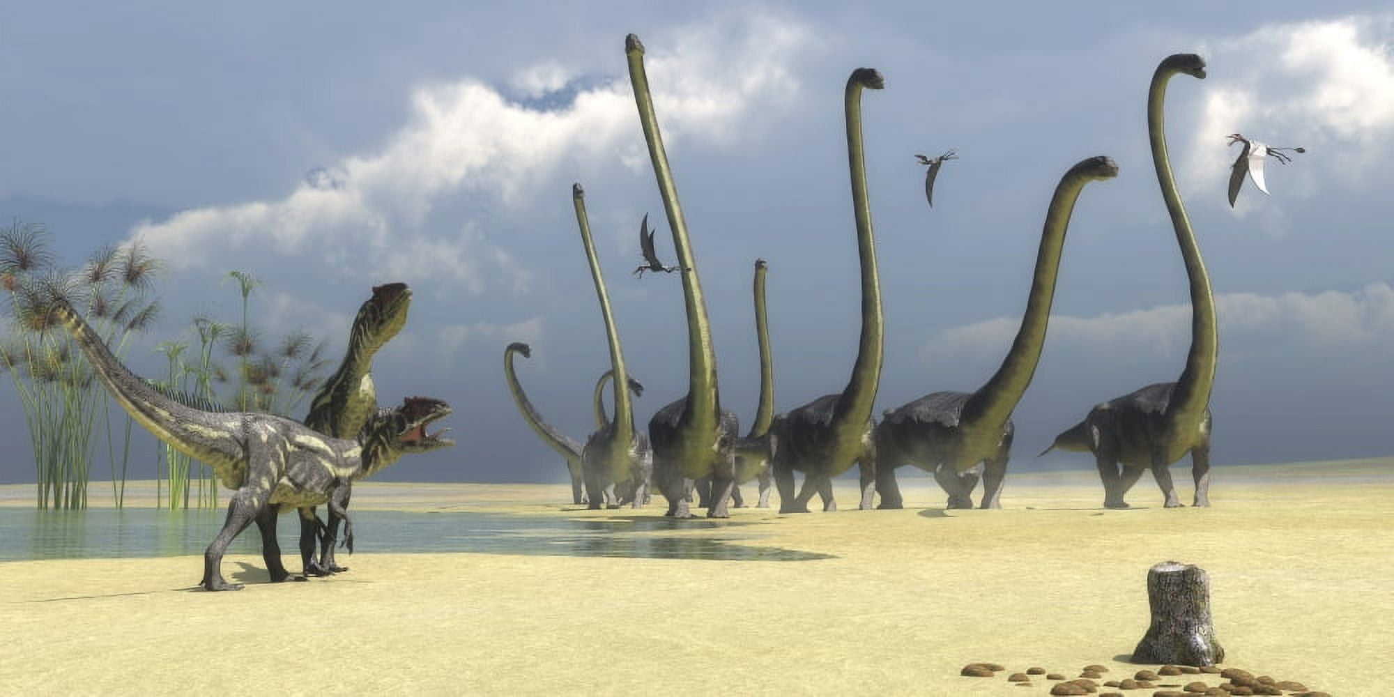 Two Allosaurus predators prepare for an attack on a herd of Omeisaurus Canvas Art - Corey FordStocktrek Images (20 x 10)
