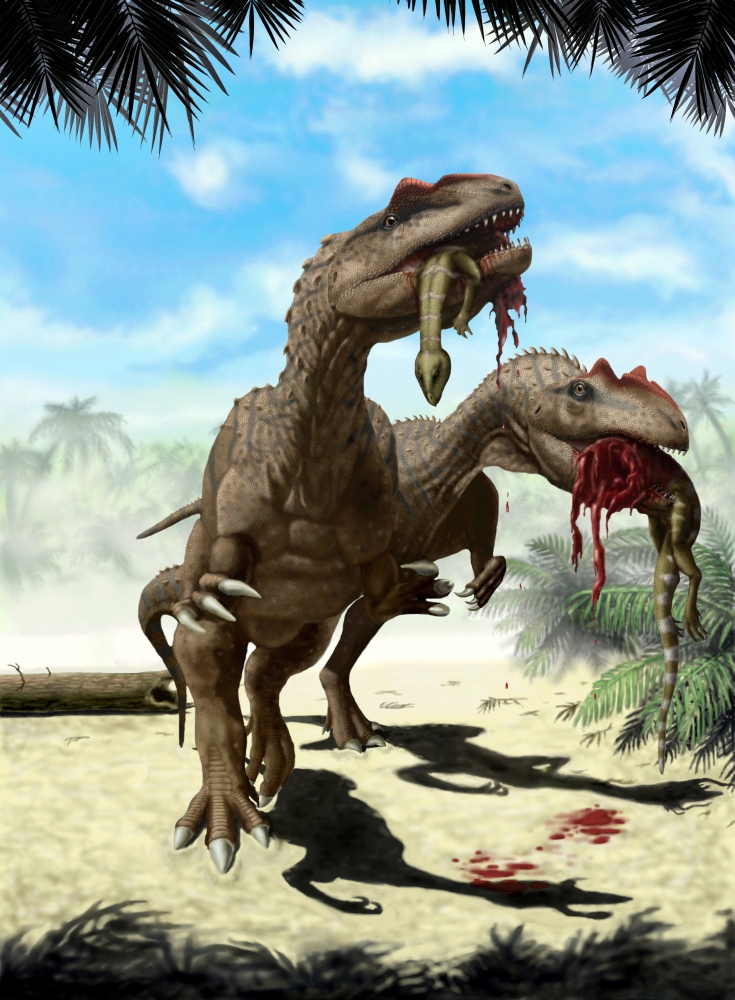 Two Allosaurus with a Hypsilophodon in mouth as next meal Canvas Art - Yuriy PriymakStocktrek Images (12 x 17)