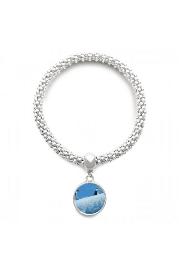 Two Antarctic Penguins Science Nature Picture Sliver Bracelet Pendant Jewelry Chain Adjustable Bangle