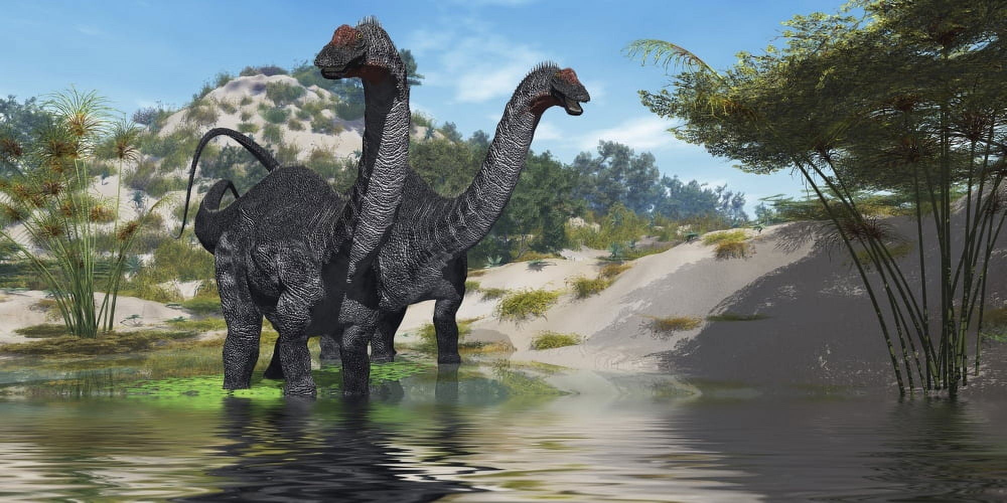 Two Apatosaurus dinosaur wade through a lush pond Canvas Art - Corey FordStocktrek Images (20 x 10)