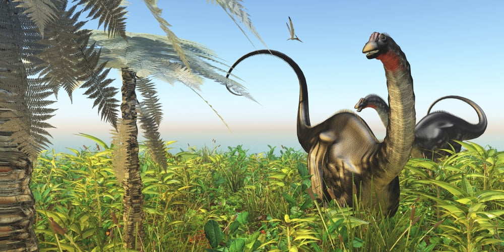 Two Apatosaurus dinosaurs in a lush Cretaceous jungle Canvas Art - Corey FordStocktrek Images (20 x 10)