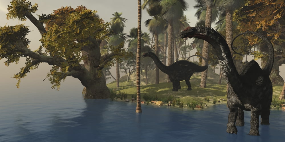 Two Apatosaurus dinosaurs visit an island in prehistoric times Canvas Art - Corey FordStocktrek Images (40 x 20)