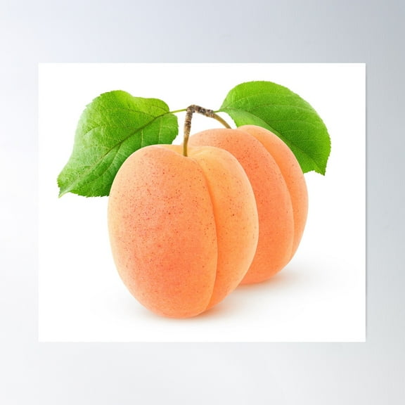 Two Apricots Poster Wall Art, Modern Wall Decor For Living Room Bedroom, 16x24 UNFRAMED