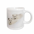thumbnail image 1 of 3drose, Two Arctic Foxes Blending into Snow, Montana, 15oz Mug, 1 of 6