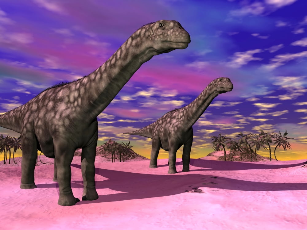 Two Argentinosaurus dinosaurs in a prehistoric landscape Canvas Art - Elena DuvernayStocktrek Images (33 x 25)