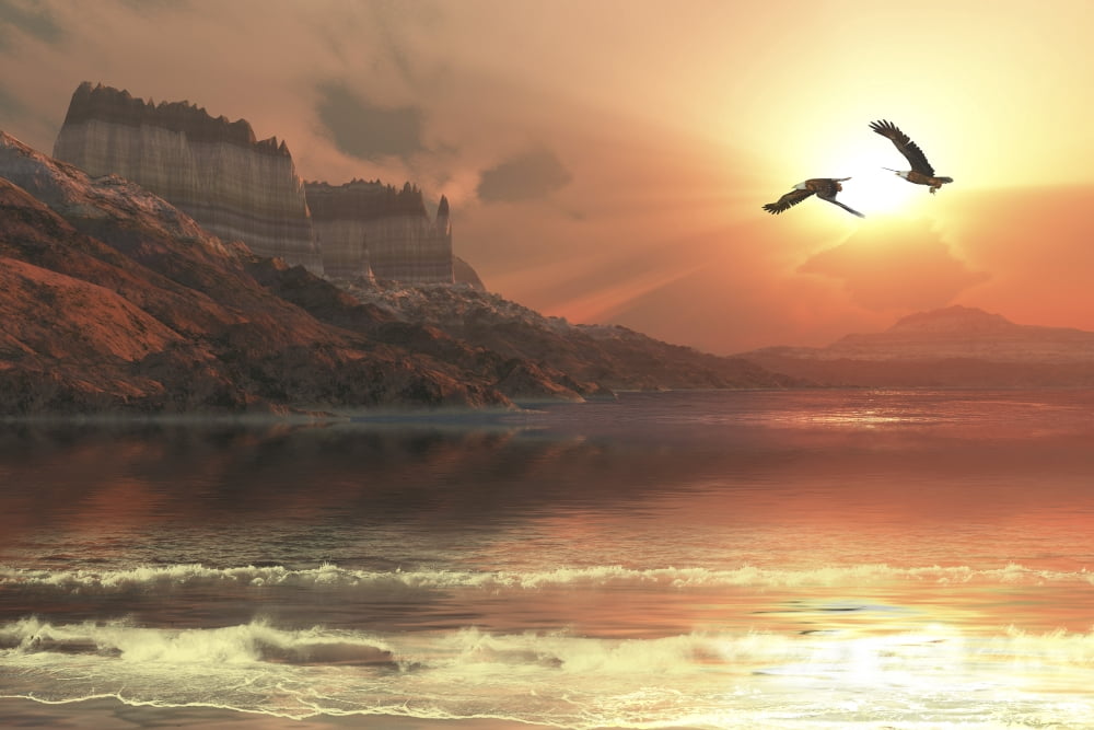 Two Bald Eagles fly along a mountainous coastline at sunset Canvas Art - Corey FordStocktrek Images (18 x 12)