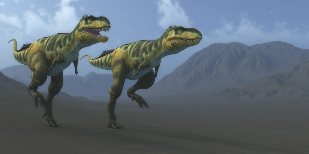 Two Bistahieversor dinosaurs hunting for prey Canvas Art - Corey FordStocktrek Images (20 x 10)