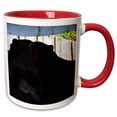 thumbnail image 1 of 3drose, Two Black Bears Hugging, 15oz Two-tone Red Mug, 1 of 6