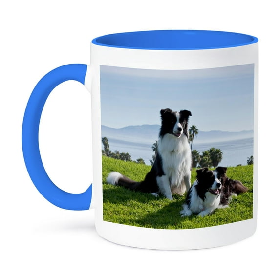 3dRose, Two Border Collie dogs - US05 ZMU0093 - Zandria Muench Beraldo, 11oz Two-Tone Blue Mug
