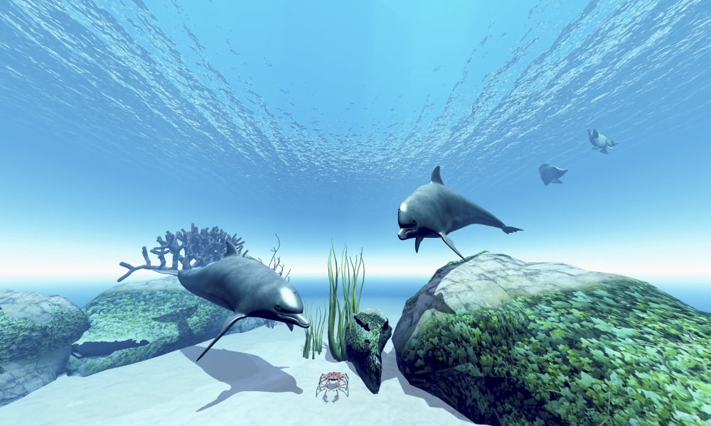 Two Bottlenose dolphins take interest in a crab on the ocean floor Canvas Art - Corey FordStocktrek Images (36 x 22)