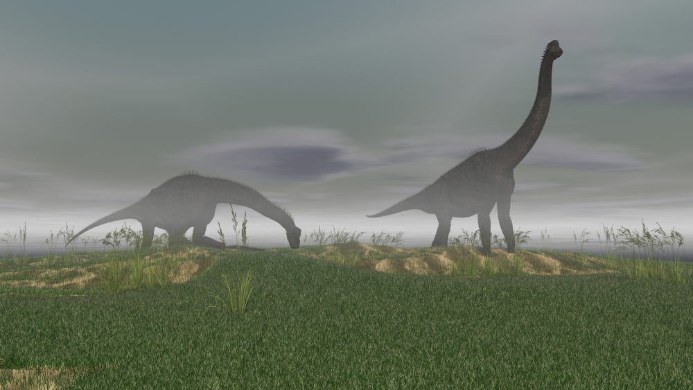 Two Brachiosaurus dinosaurs grazing in the mist Canvas Art - Kostyantyn IvanyshenStocktrek Images (38 x 22)