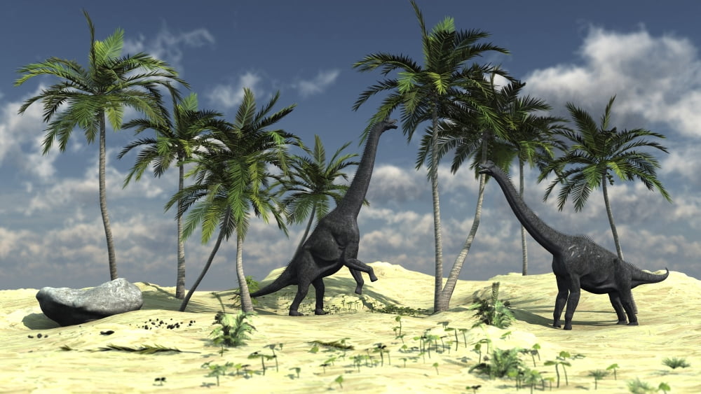 Two Brachiosaurus dinosaurs grazing on trees Canvas Art - Kostyantyn IvanyshenStocktrek Images (38 x 22)