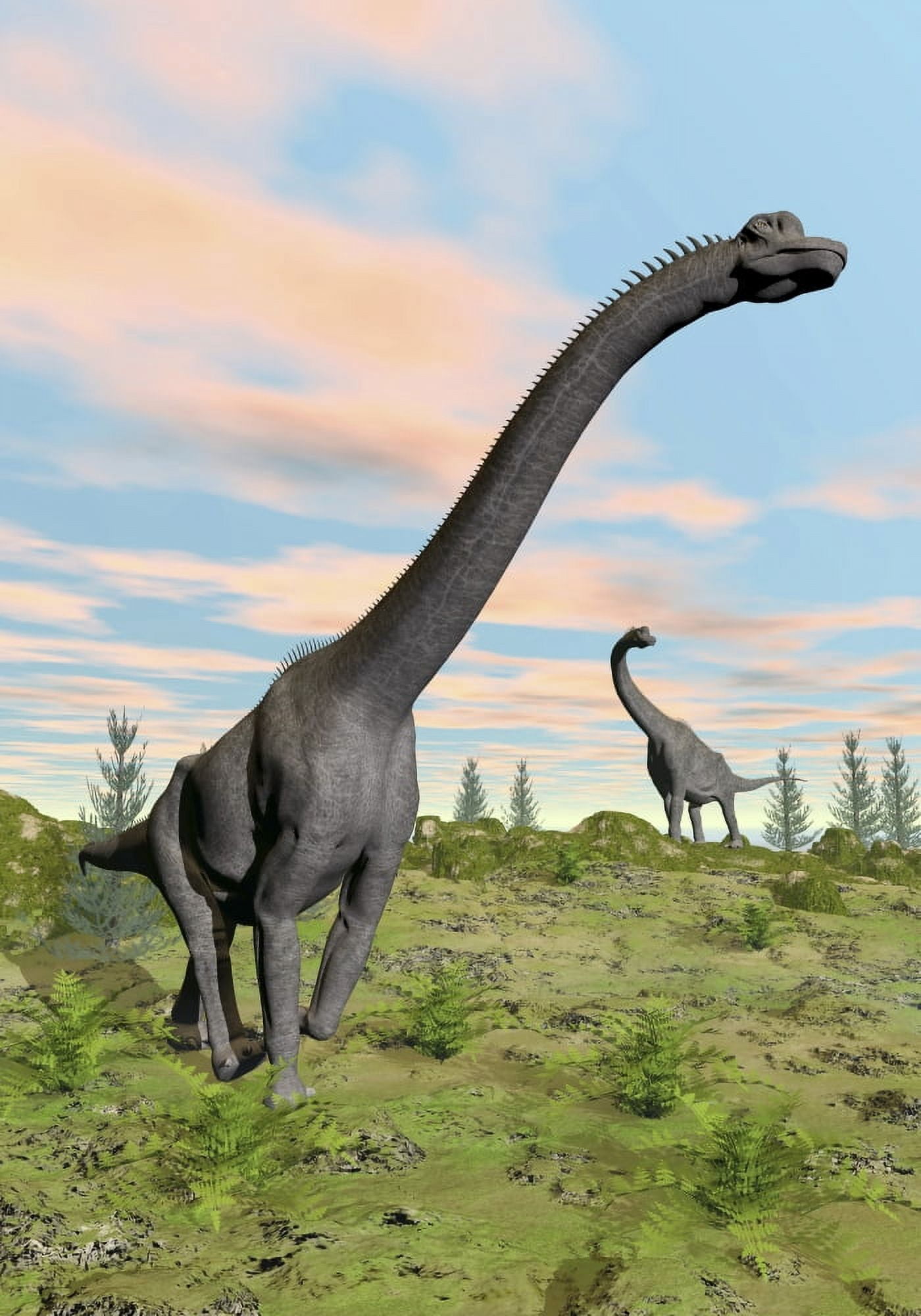 Two Brachiosaurus dinosaurs in a prehistoric environment Canvas Art - Elena DuvernayStocktrek Images (12 x 17)