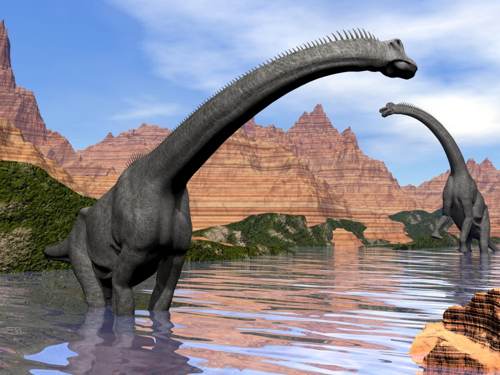 Two Brachiosaurus dinosaurs in water next to red rock mountains Canvas Art - Elena DuvernayStocktrek Images (17 x 13)