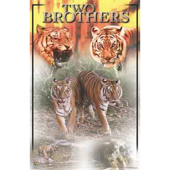 Two Brothers Tigers Poster 980
