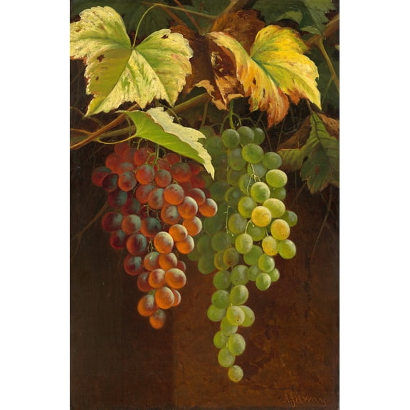 Two Bunches of Grapes by Andrew John Henry Way - 12" x 18" Art Print Wall Decor