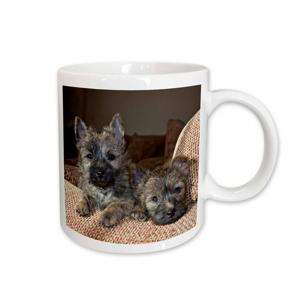 3drose, Two Cairn Terrier Dogs on a Tan Couch - Na02 Zmu0115 - Zandria Muench Beraldo, 11oz Mug