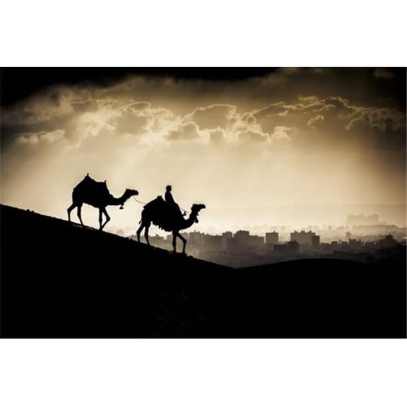 Two Camels & A Rider Walk in Front of Giza Egypt At Sunset - Giza Egypt Poster Print by Matt Brandon, 19 x 12