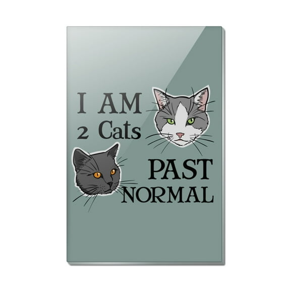 Two Cats Past Normal Rectangle Acrylic Fridge Refrigerator Magnet