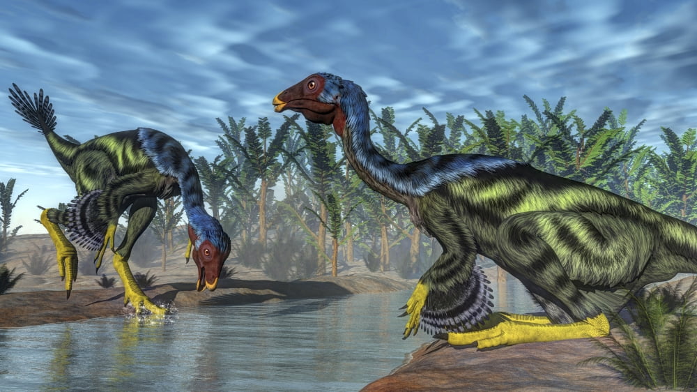 Two Caudipteryx dinosaurs drinking from a river Canvas Art - Elena DuvernayStocktrek Images (19 x 11)