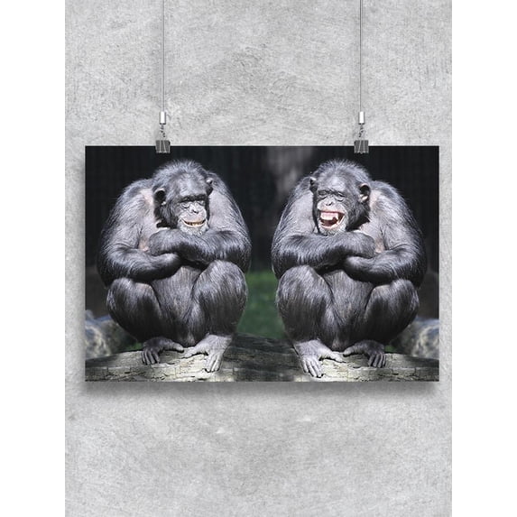 Two Chimpanzees Sitting On Tree Poster -Image by Shutterstock
