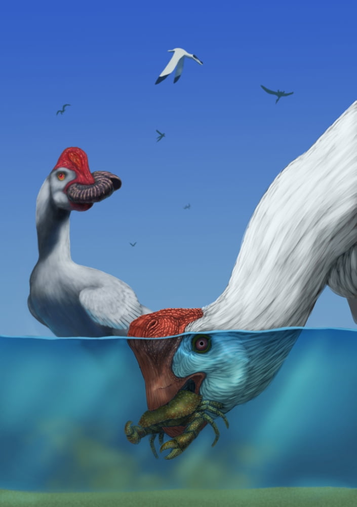 Two Citipatis hunting crabs Canvas Art - Alvaro RozalenStocktrek Images (24 x 34)