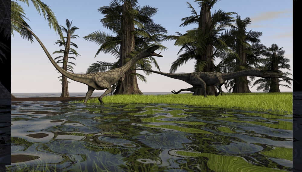 Two Coelophysis dinosaurs running through swampy water Canvas Art - Kostyantyn IvanyshenStocktrek Images (38 x 22)
