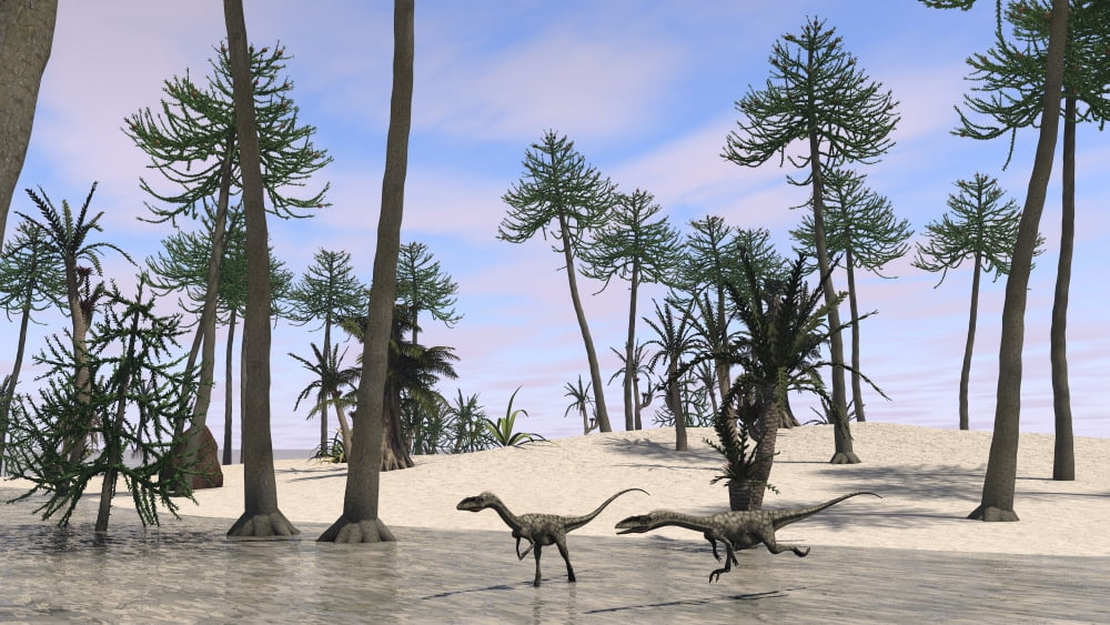 Two Coelophysis in shallow water Canvas Art - Kostyantyn IvanyshenStocktrek Images (38 x 22)
