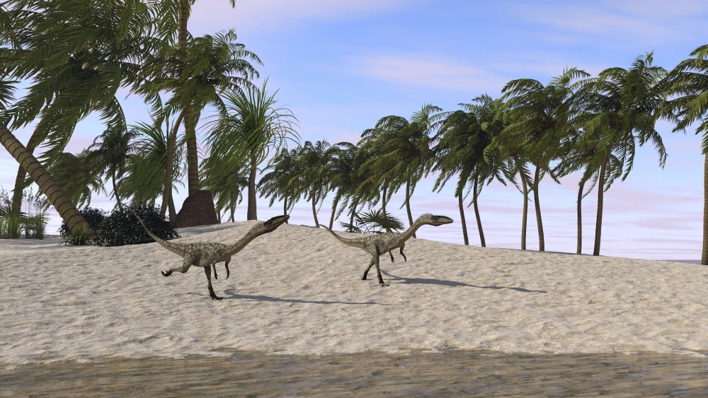 Two Coelophysis running towards shore Canvas Art - Kostyantyn IvanyshenStocktrek Images (19 x 11)