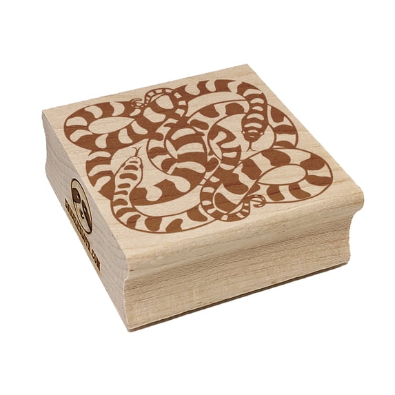 Two Coiled Snakes Striped Serpents Square Rubber Stamp Stamping Scrapbooking Crafting - Large 2.75in