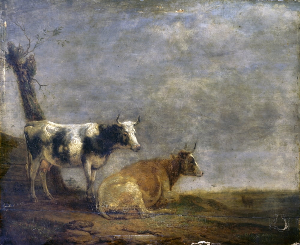 Two Cows Canvas Art - (24 x 18)