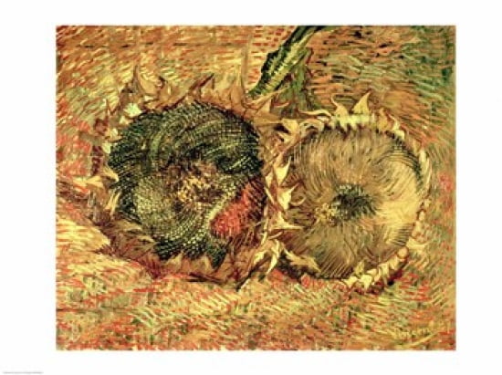 Two Cut Sunflowers 1887 Canvas Art - Vincent Van Gogh (24 x 18)