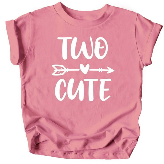 Two Cute Arrow 2nd Birthday Shirt for Toddler Girls Second Birthday Outfit White on Mauve Shirt 3T