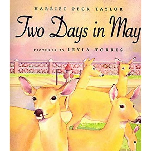 Pre-Owned Two Days in May (Hardcover) 0374379882 9780374379889