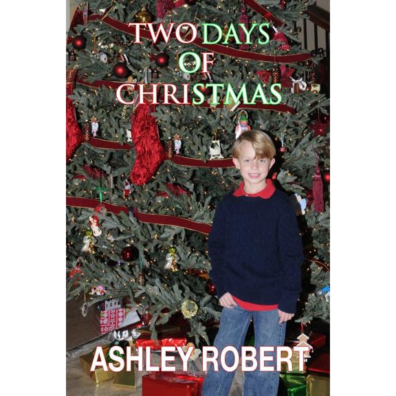 Two Days of Christmas (Paperback)