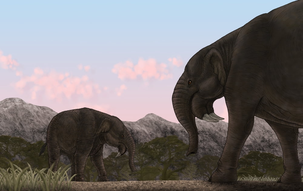Two Deinotherium an extinct animal of the Miocene epoch Canvas Art - Vitor SilvaStocktrek images (18 x 12)