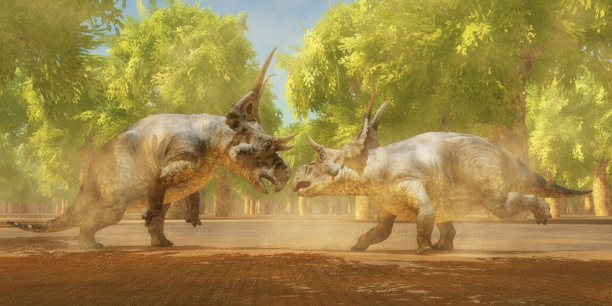 Two Diabloceratops dinosaurs fight for mating rights Canvas Art - Corey FordStocktrek Images (20 x 10)