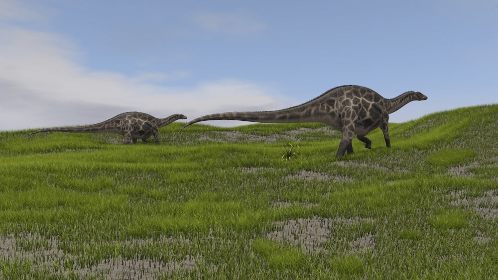 Two Dicraeosaurus dinosaurs walking across a grassy field Canvas Art - Kostyantyn IvanyshenStocktrek Images (19 x 11)