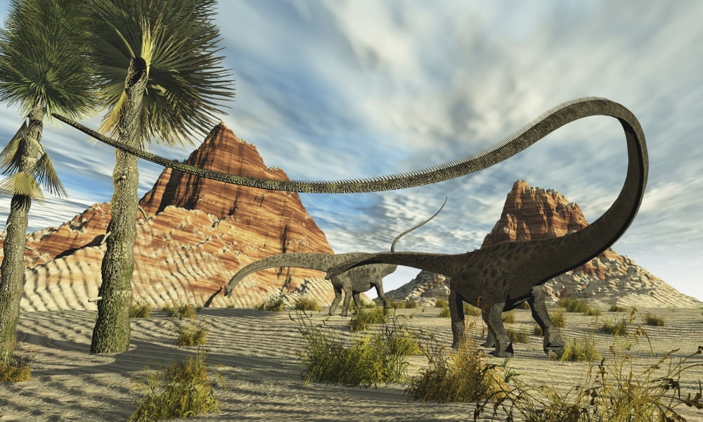 Two Diplodocus dinosaurs search for food in a desert landscape Canvas Art - Corey FordStocktrek Images (18 x 11)