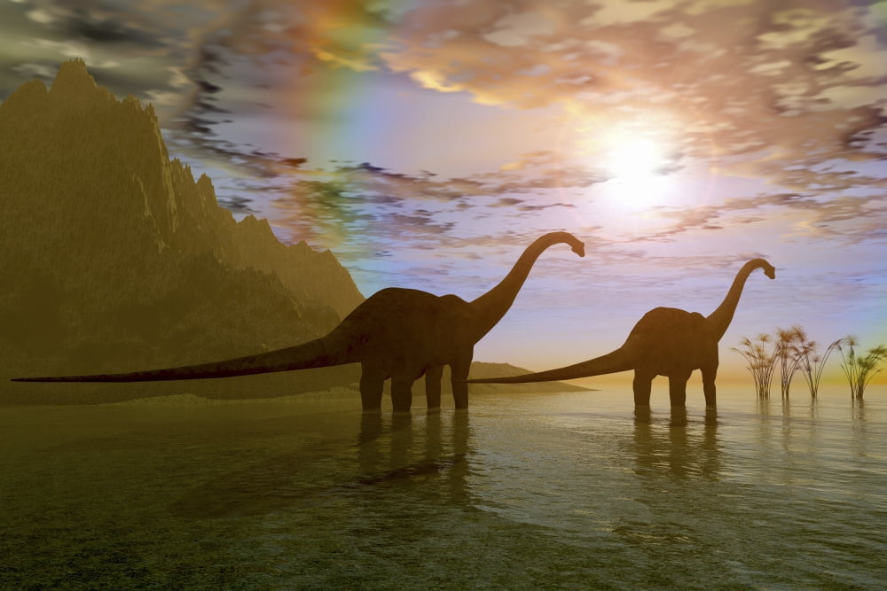 Two Diplodocus dinosaurs wade through shallow water to eat some vegetation Canvas Art - Corey FordStocktrek Images (18 x 12)