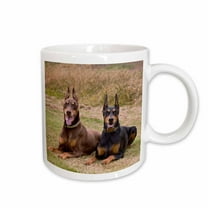 3drose, Two Doberman Pinscher Dogs in a Field - Us05 Zmu0299 - Zandria Muench Beraldo, 11oz Mug