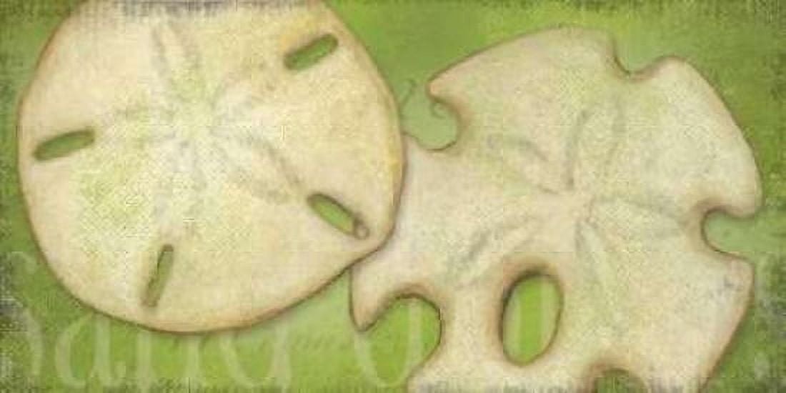 Two Dollars Canvas Art - Stephanie Marrott (10 x 20)