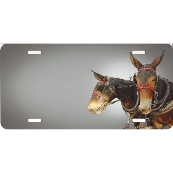 Two Donkeys Airbrush License Plate Free Names on this Air Brush